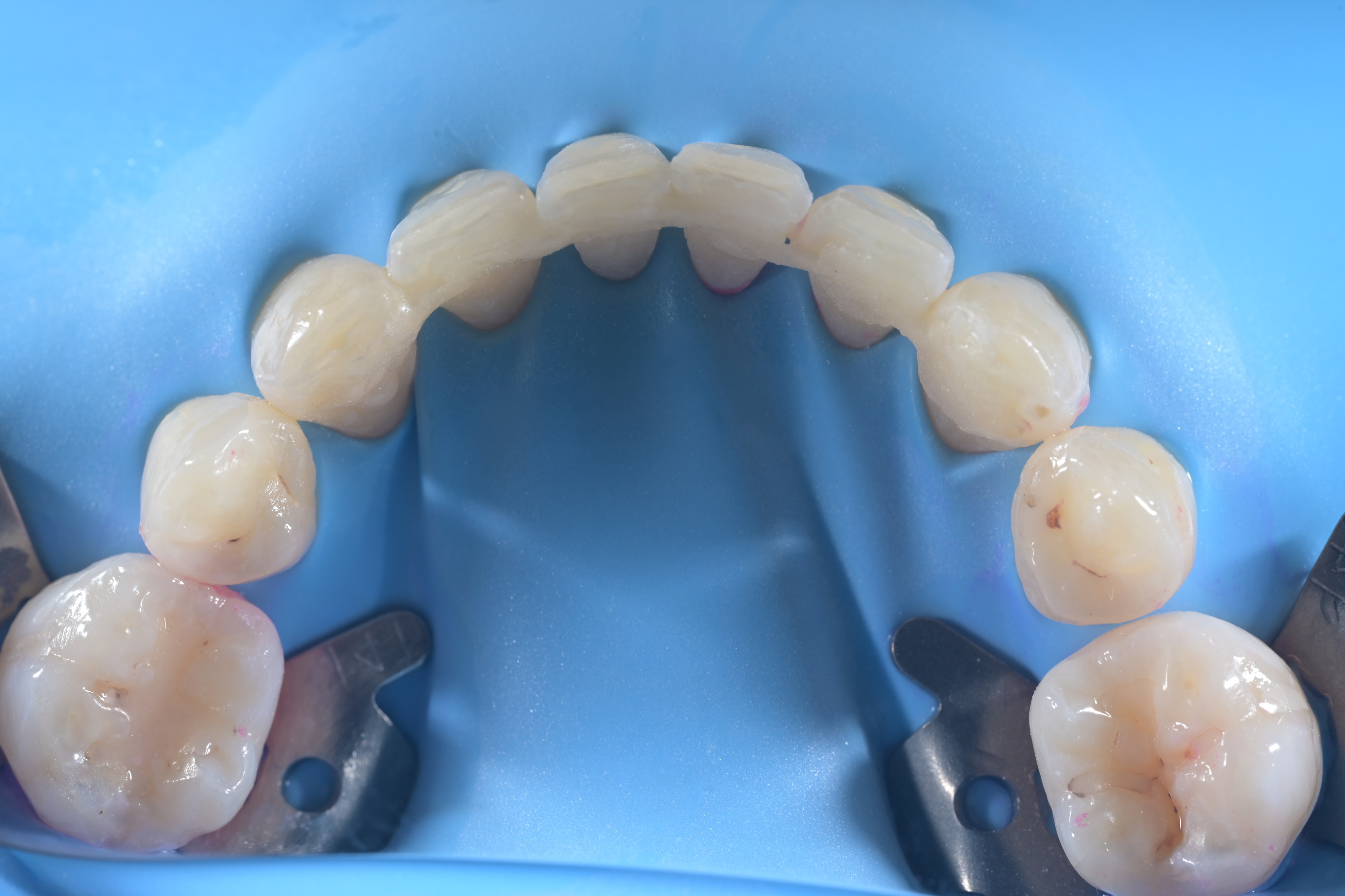 f64c6859ad94d.jpg