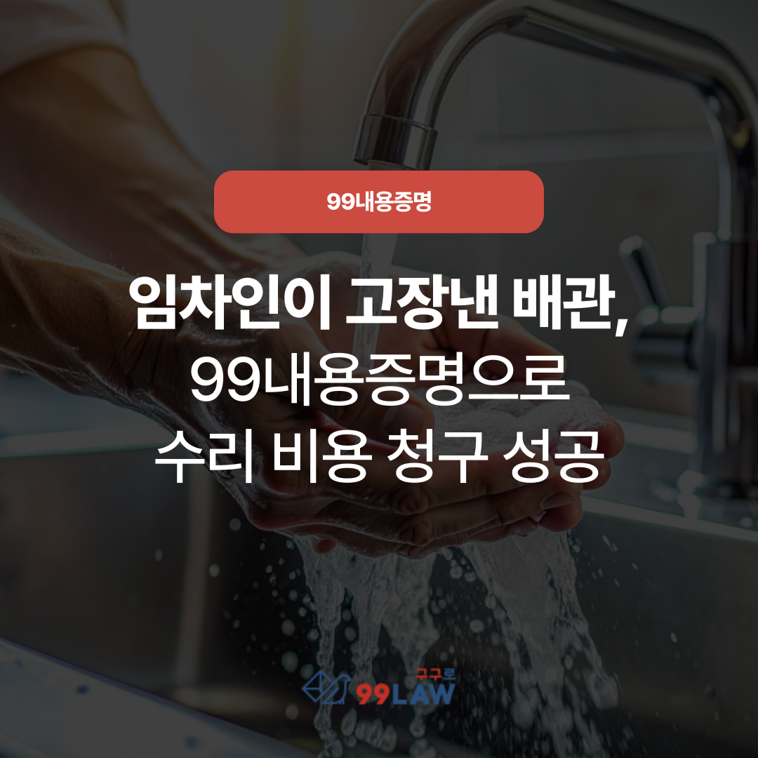 81d0f101be5a2.png