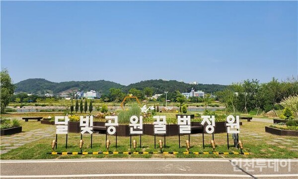 조지메이슨대학교 도시양봉 꿀 상품화