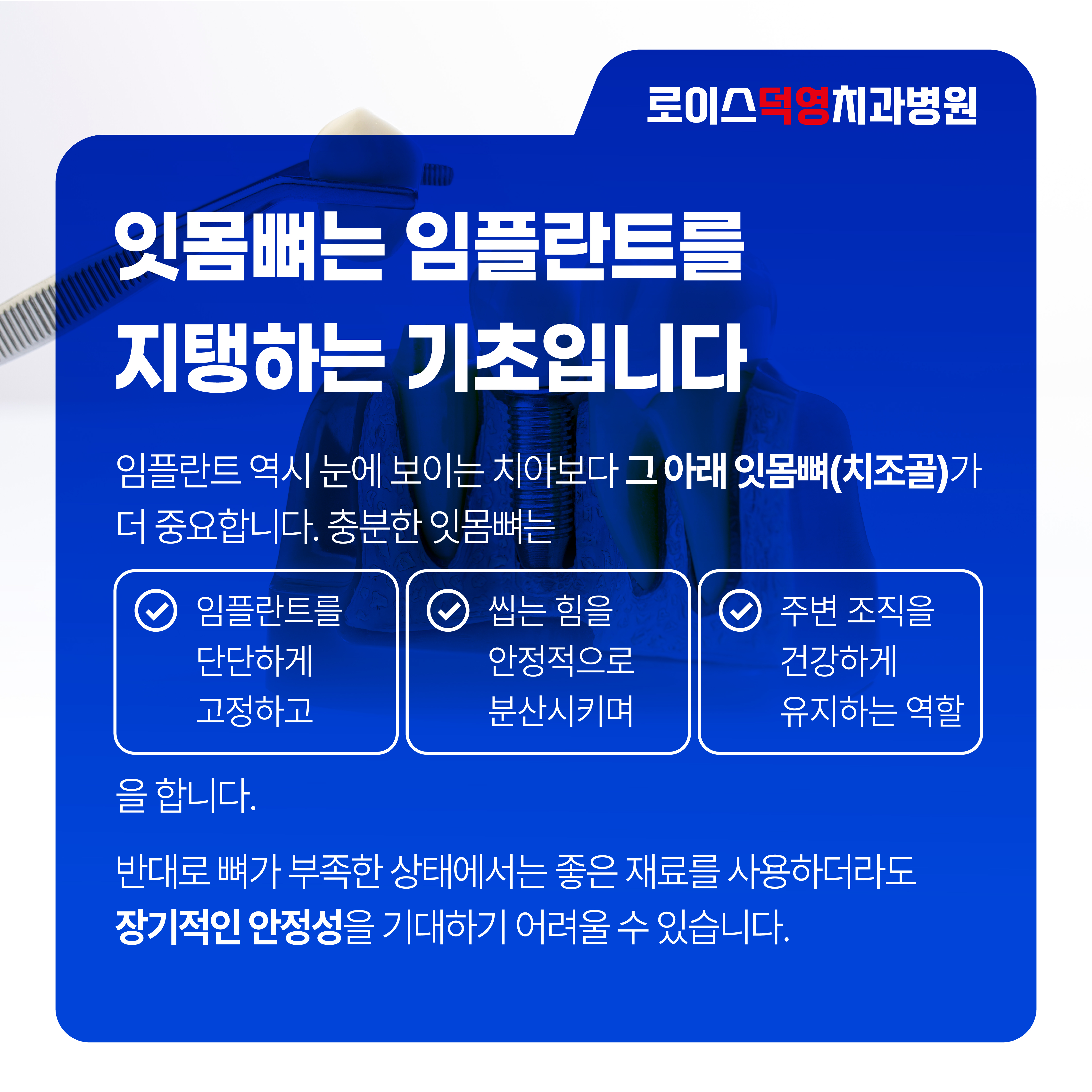 093eafa8d17b0.jpg