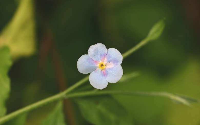 5a2872ca27922.png