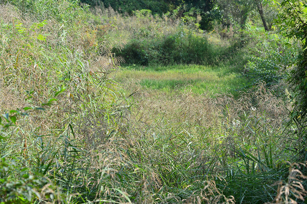 861cdca83277e.jpg
