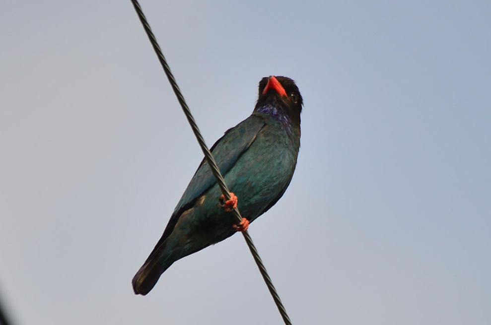 f3bc430d28f7c.png