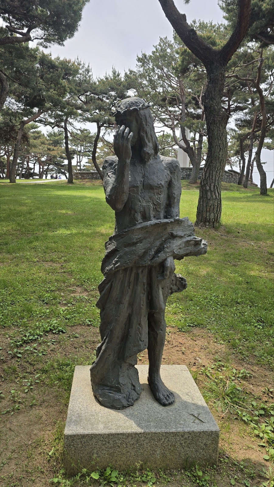 21ff05bd1639d.jpg
