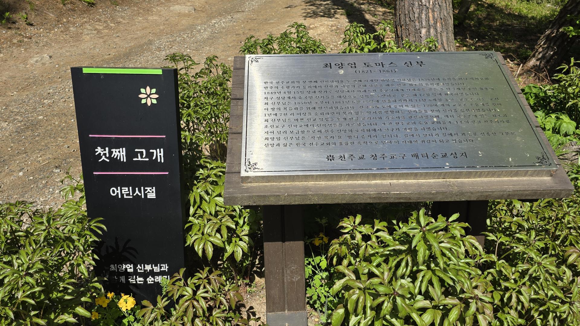4b27fe0109ae3.jpg