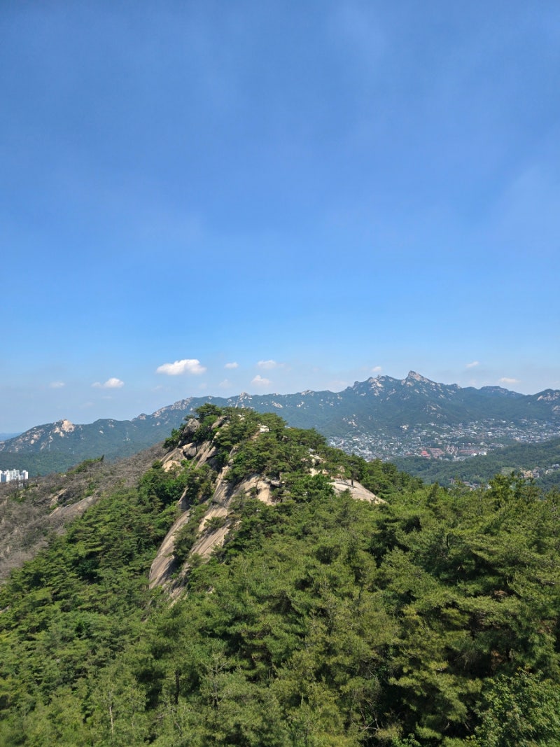 5a09271250530.jpg