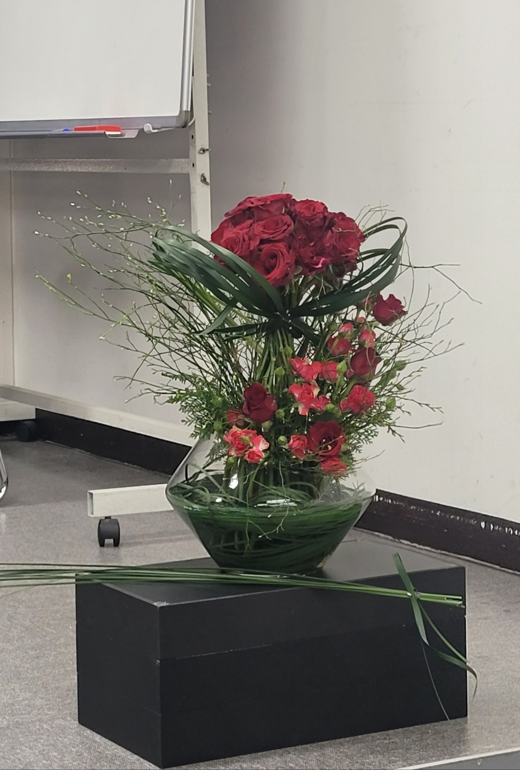 765c9881133a0.jpg
