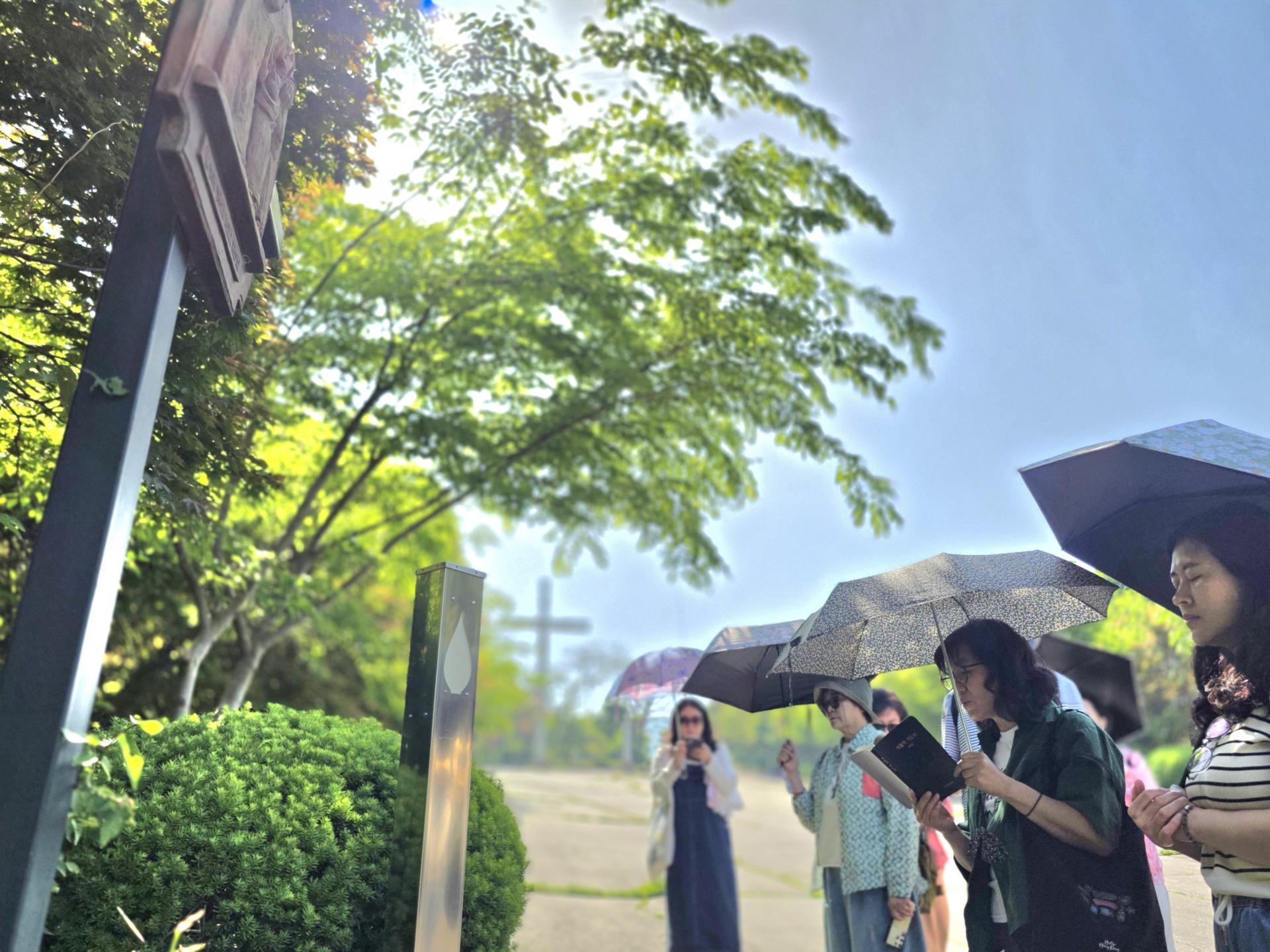 9470b630593c0.jpg