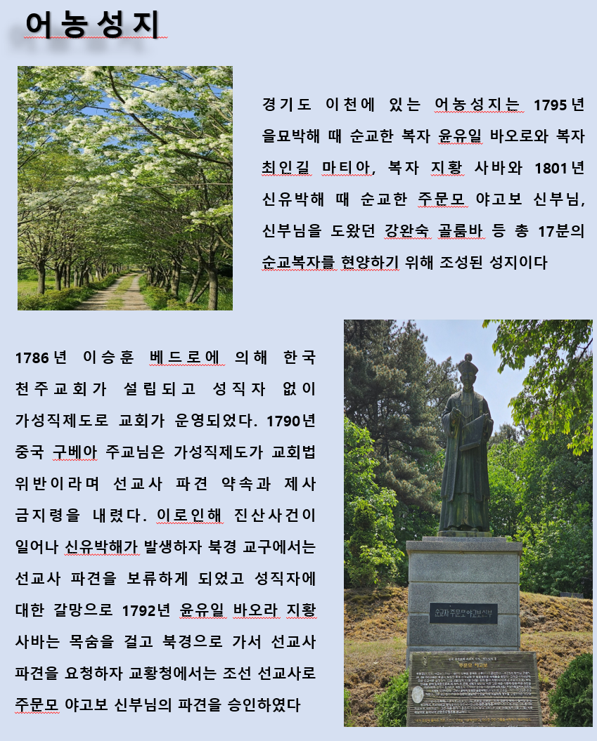 b17a9969d8ecc.png