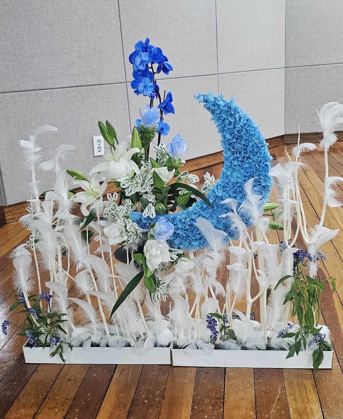 d128f4392c1c2.jpg