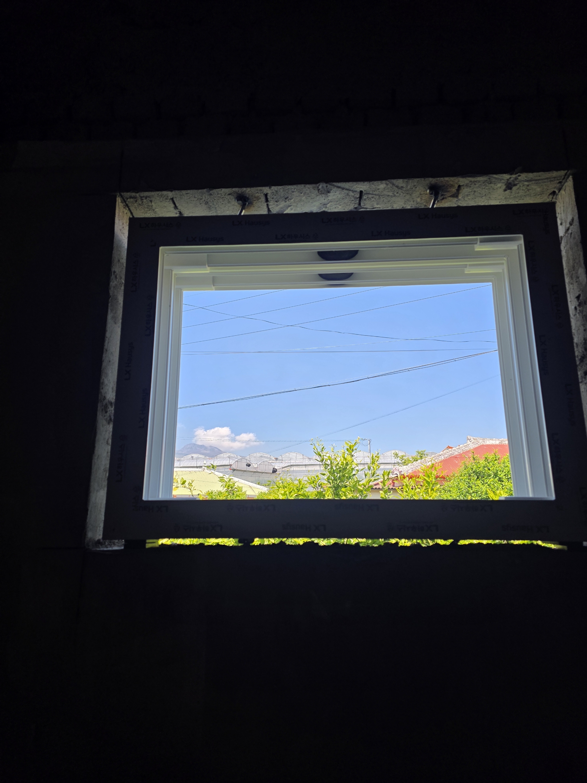 8fd83df7df884.jpg