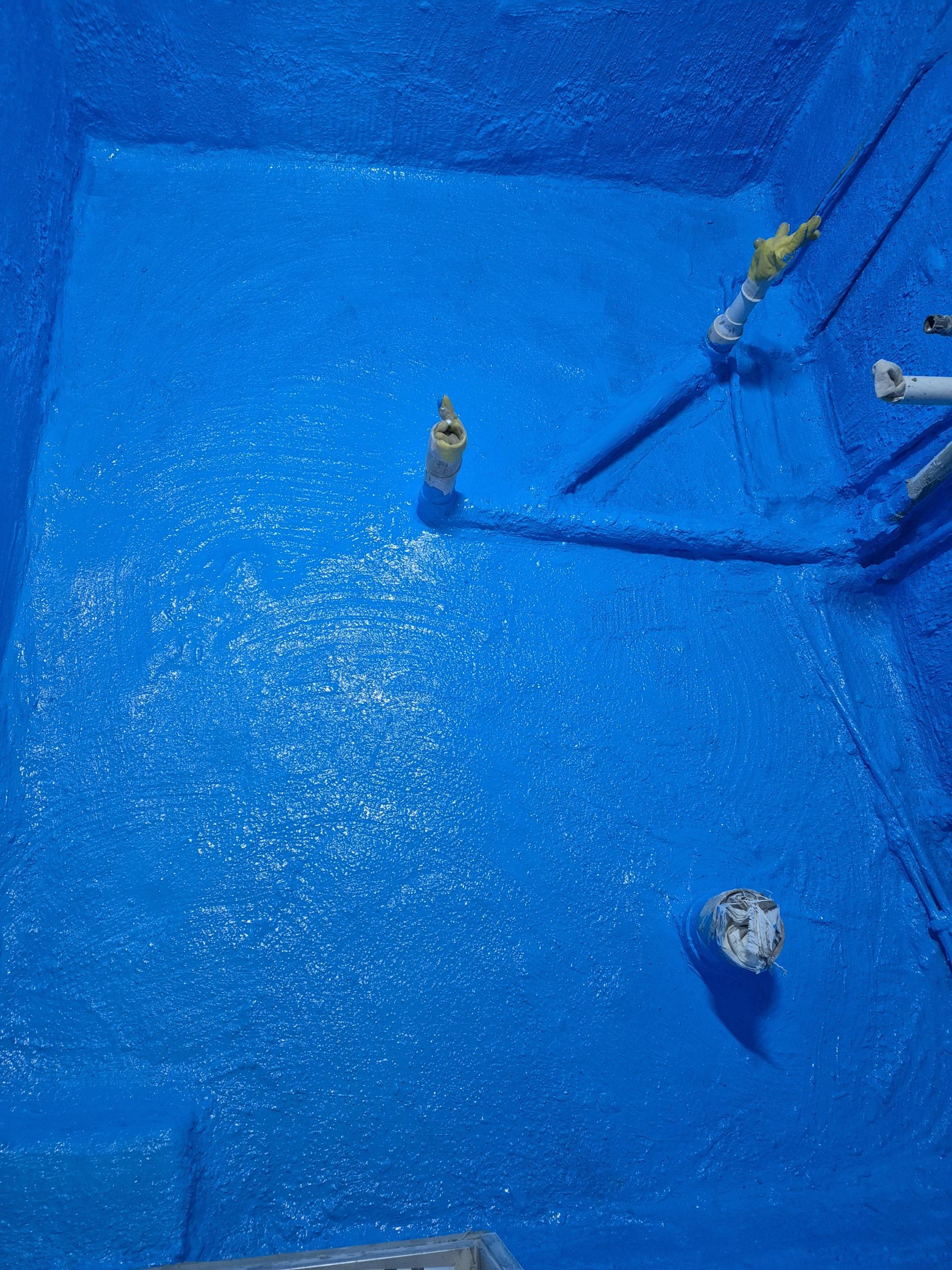 a5b299c13d875.jpg