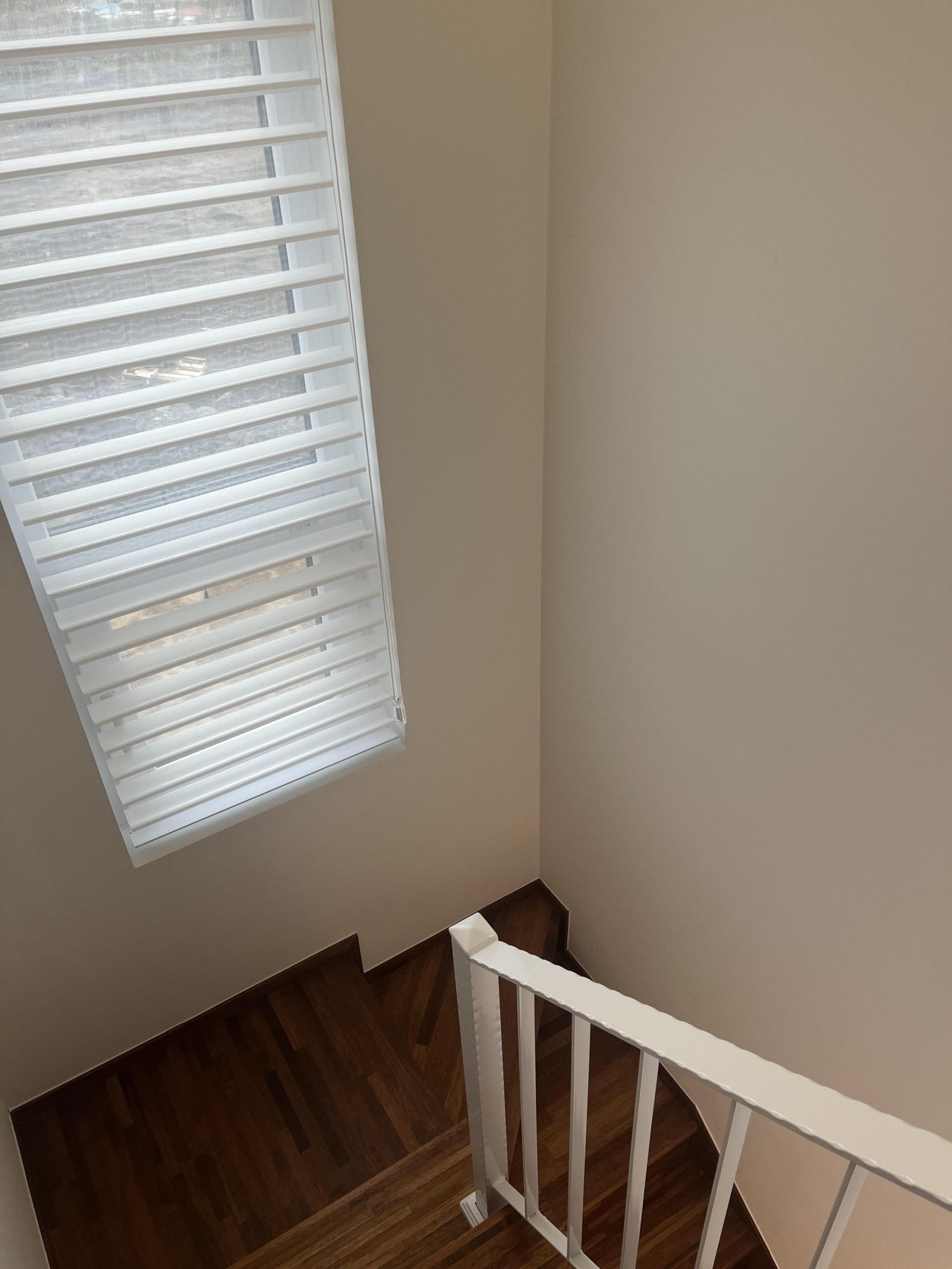 a94d1f223704b.jpg