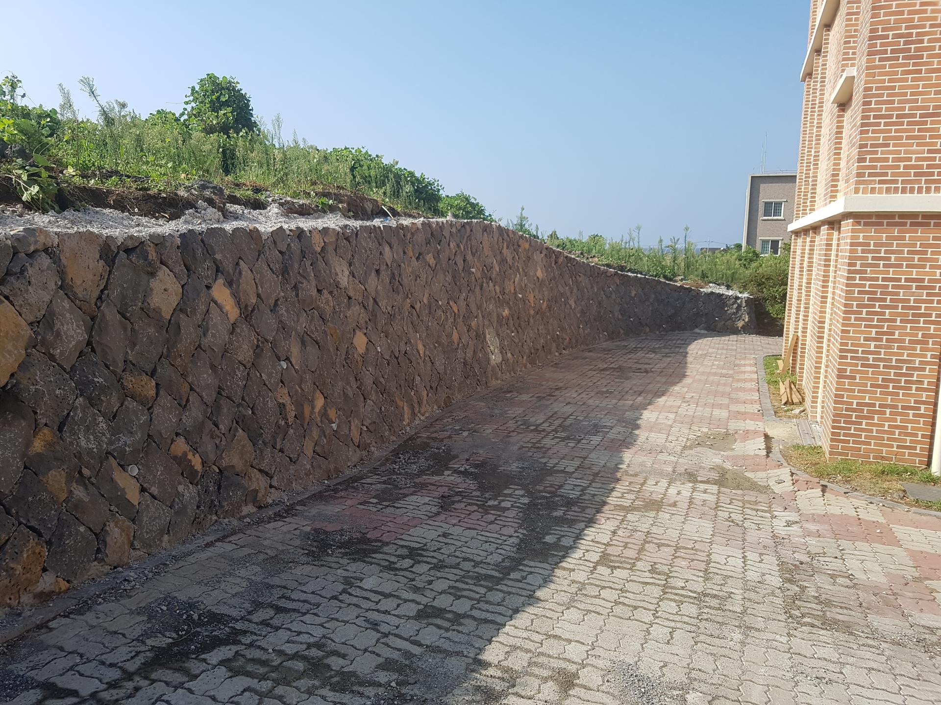 c5067a3befa84.jpg