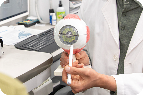 녹내장 치료시스템 2