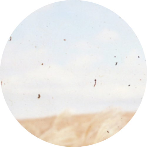 당뇨망막병증 증상 - 시야 불편