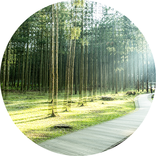 백내장 증상 - 복시현상