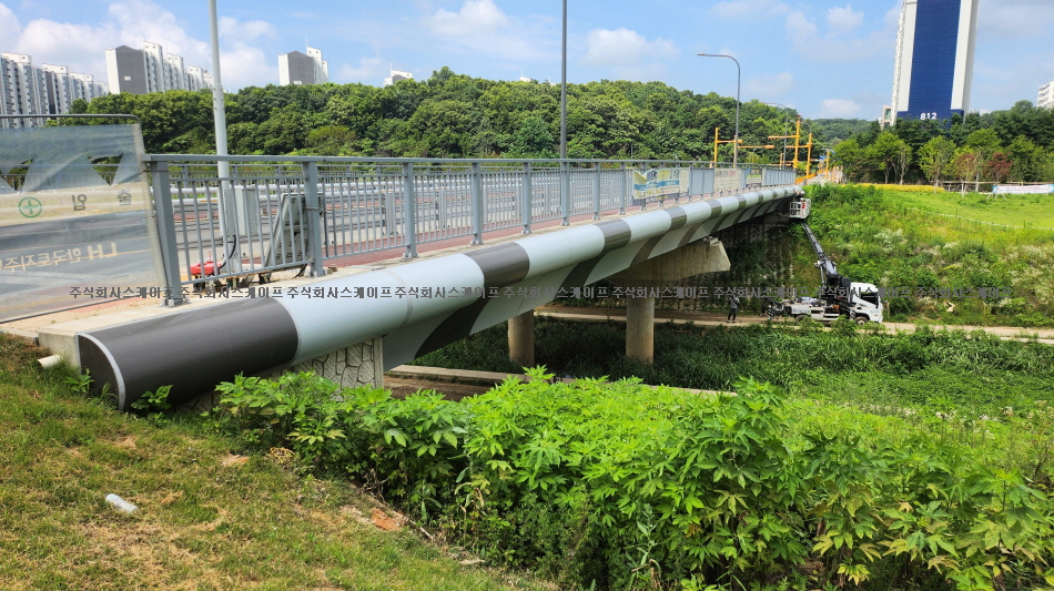 589686e243948.jpg
