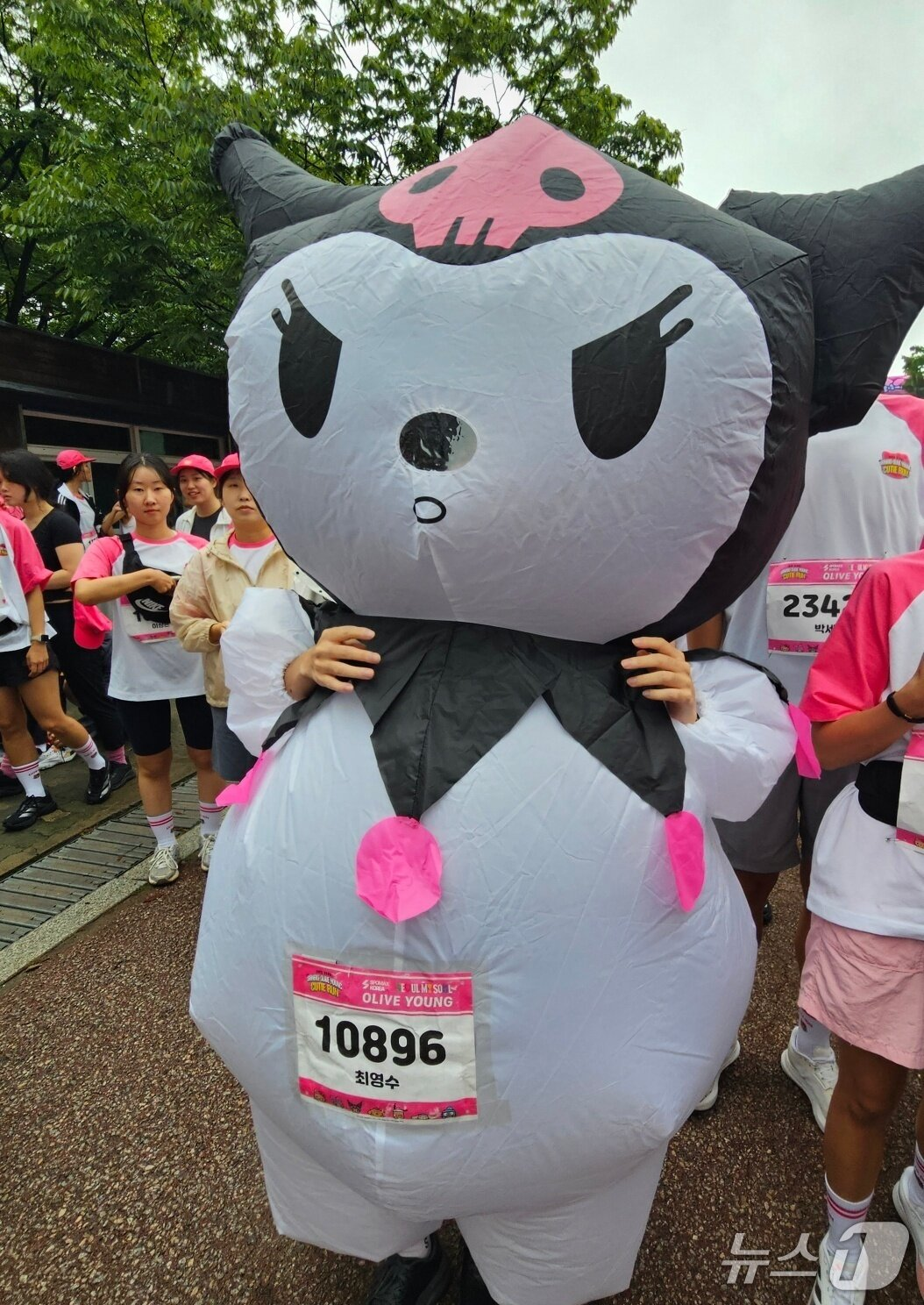 d9d2508f8962a.png