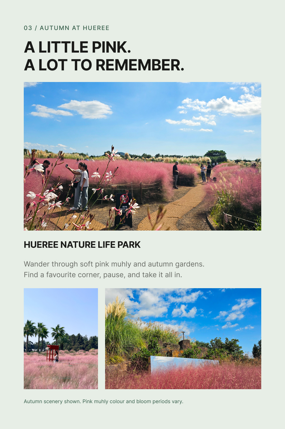 Jeju Southern Join in Day Tour