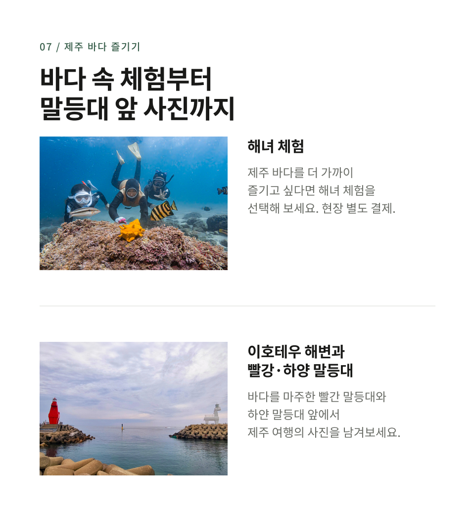 제주 서·남부 하루 버스 투어
