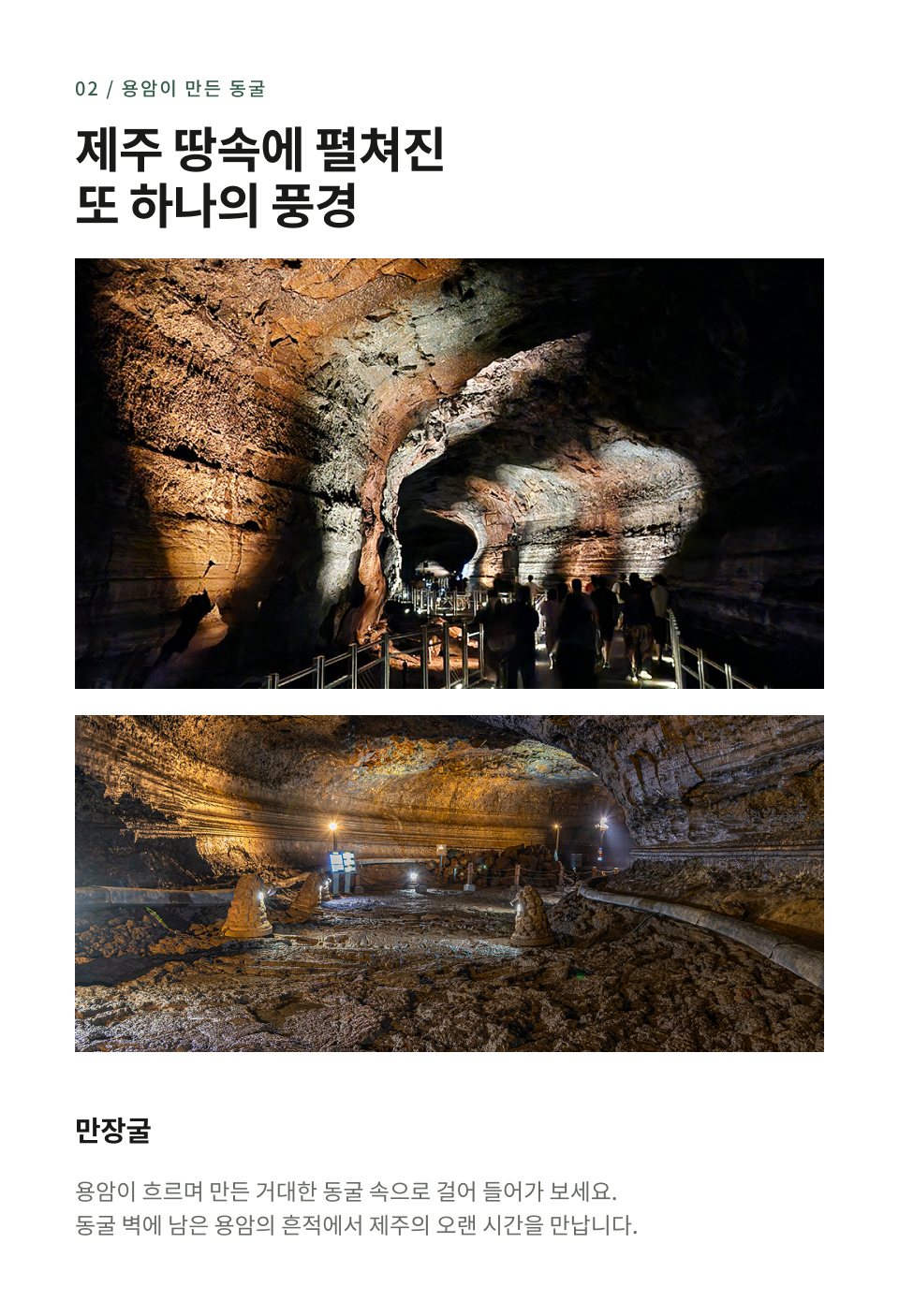 제주 동부 하루 버스 투어
