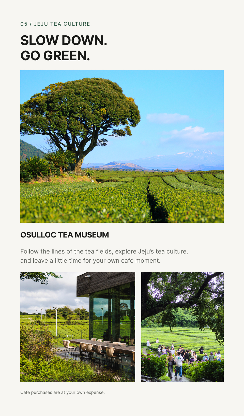 Jeju Southwestern Join in Day Tour