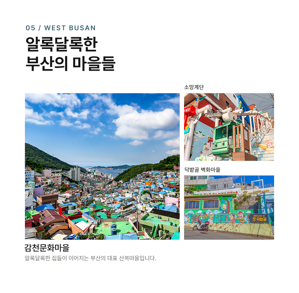 부산 스카이캡슐 스몰그룹 일일 투어