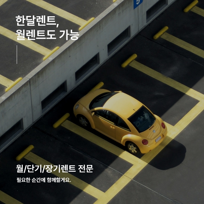 모바일 이미지 5