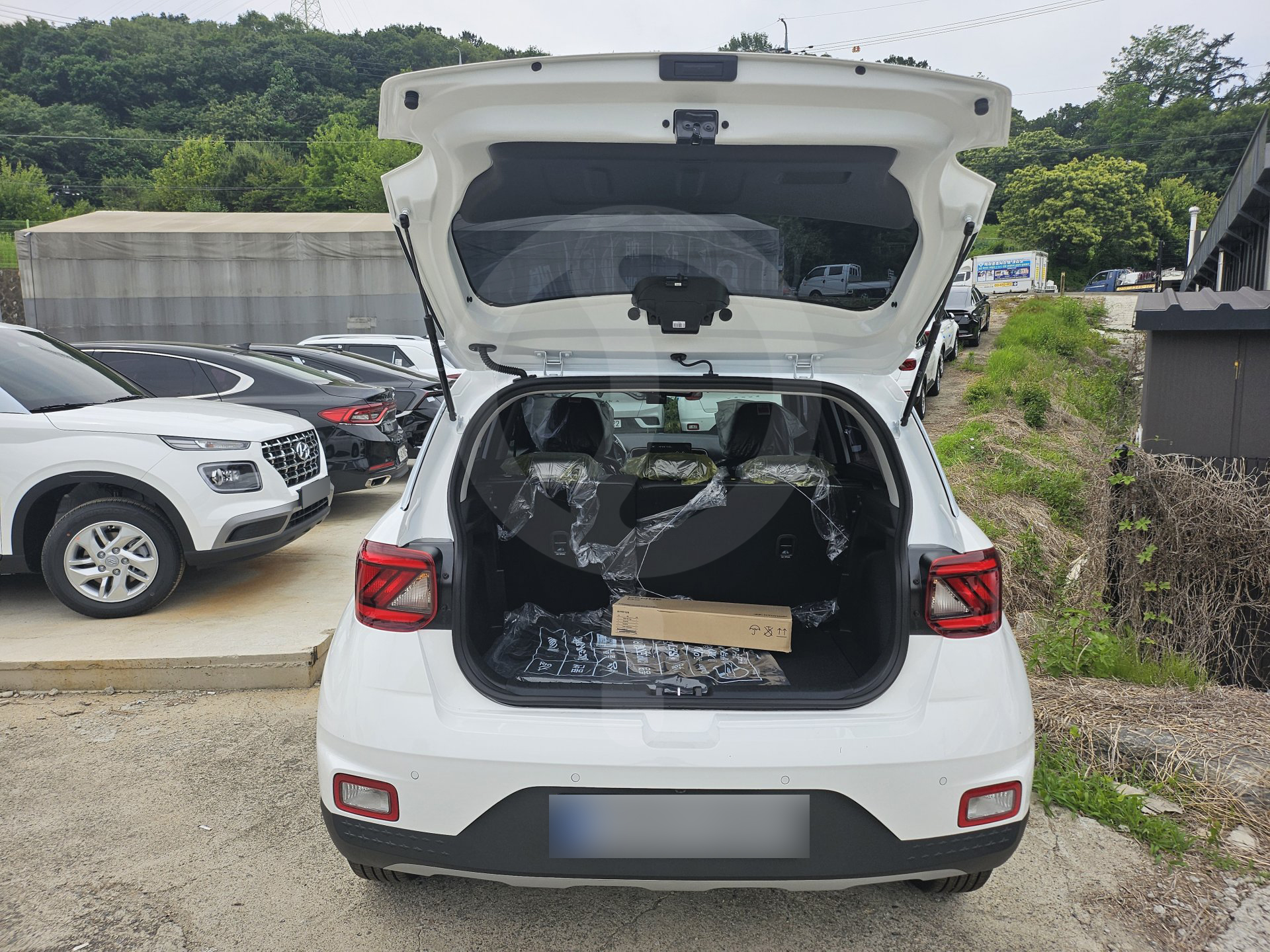 베뉴 | 25년형
