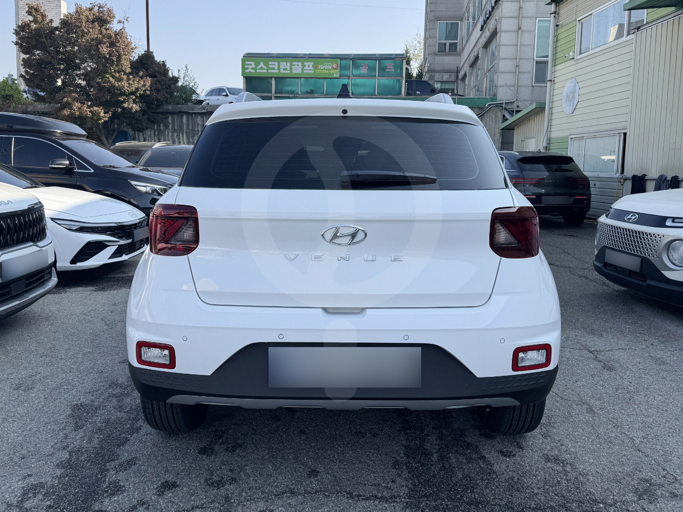 베뉴 | 25년형