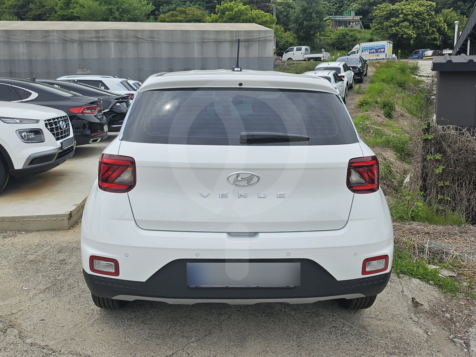 베뉴 | 25년형