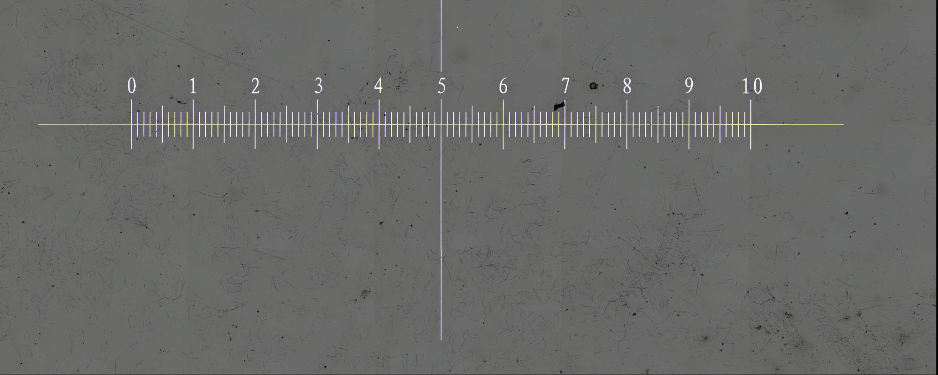 Microscope calibration slide 1000um for stitching accuracy check