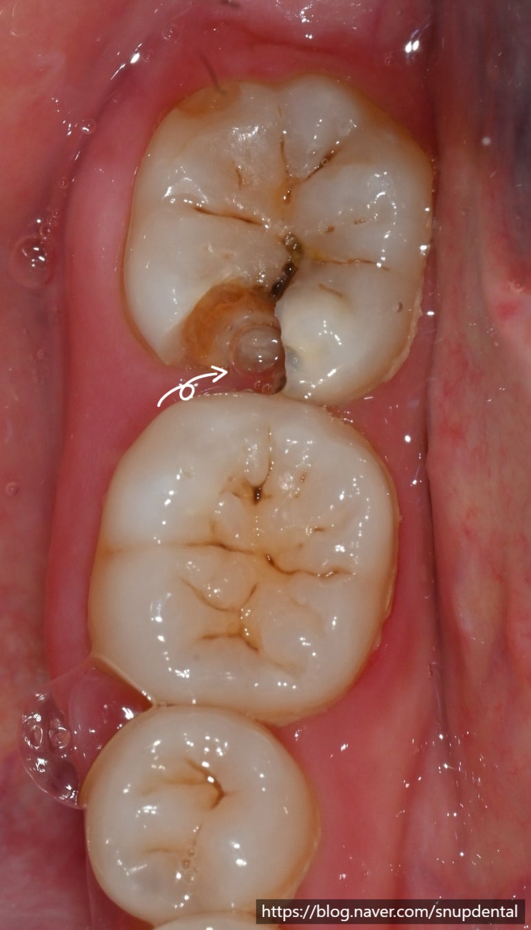 3cd74bffe40fb.jpg