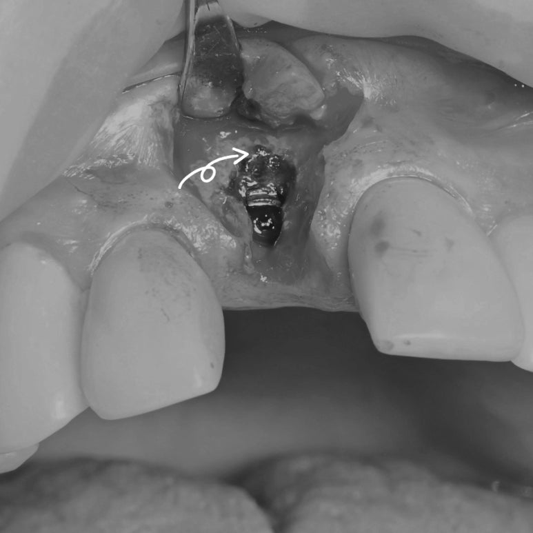 cb54904cc02e7.jpg