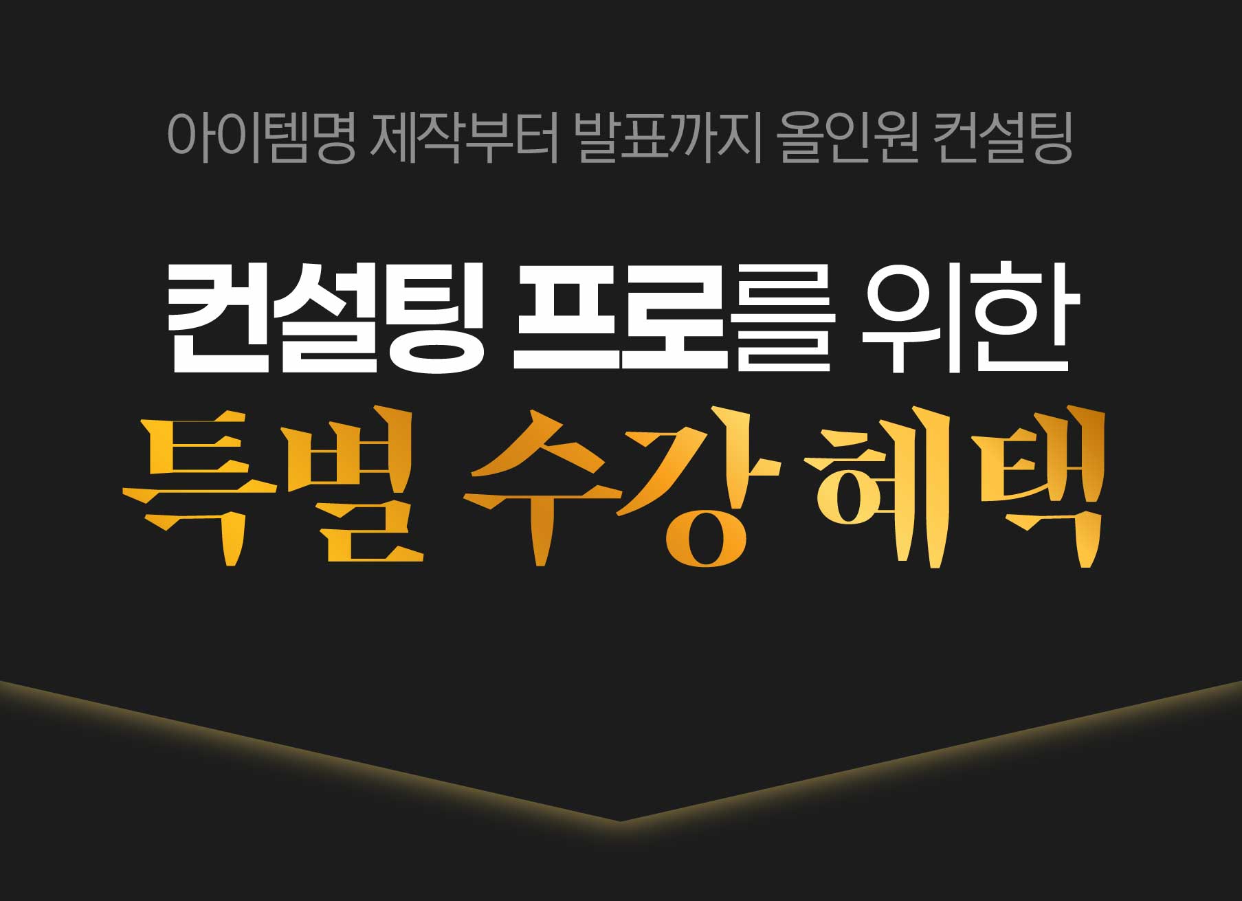 [Pro] 정부지원 1억 확보를 위한 1:1 맞춤형 사업계획서 컨설팅