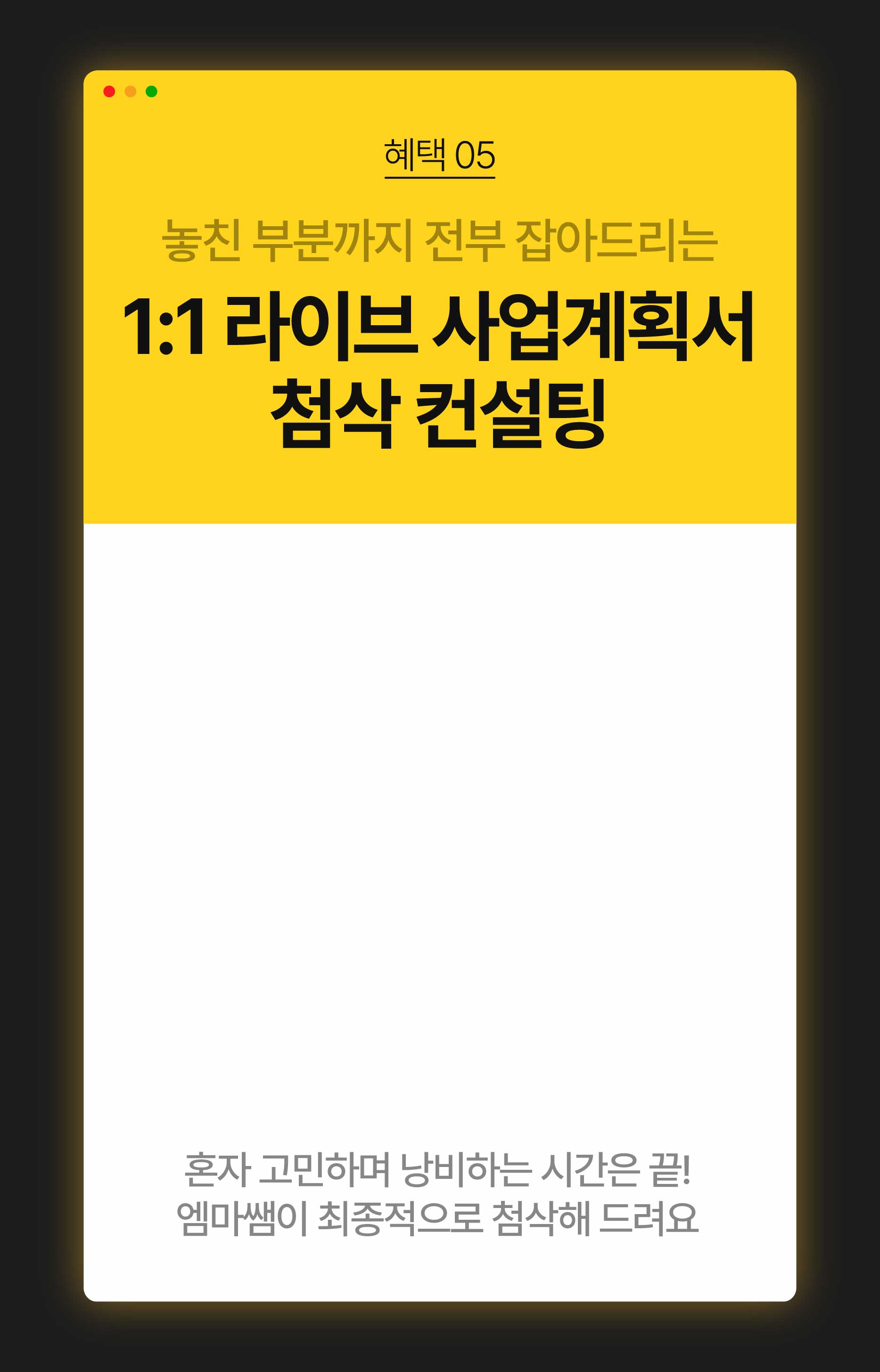 [Pro] 정부지원 1억 확보를 위한 1:1 맞춤형 사업계획서 컨설팅