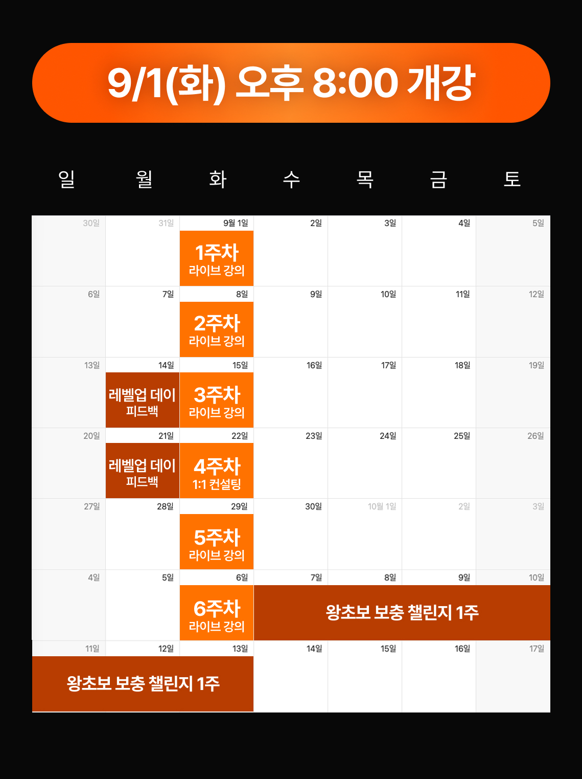 [6주 완성반 1기] 바이브 코딩으로 월 천만 원 온라인 건물짓기
