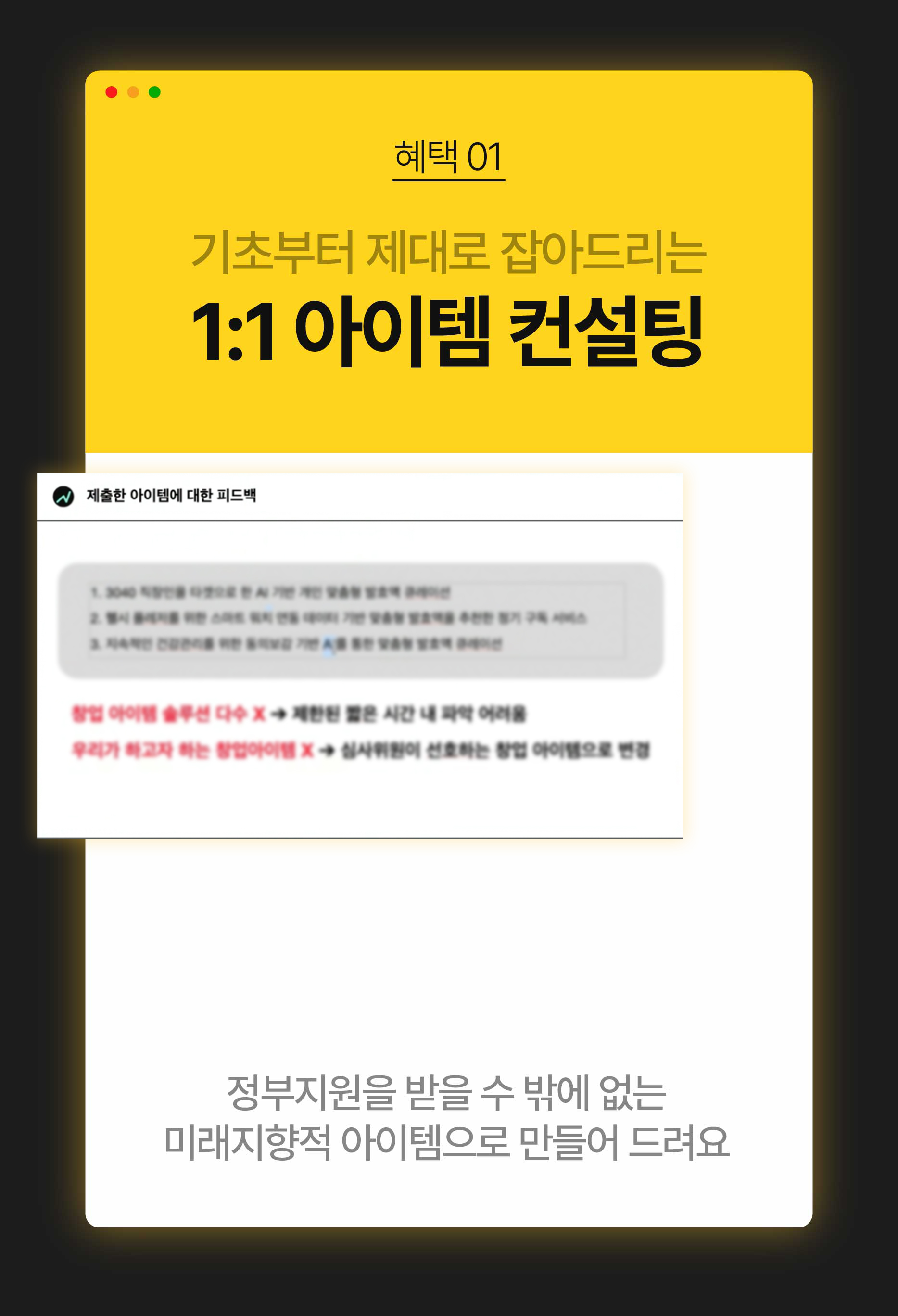 [Pro] 정부지원 1억 확보를 위한 1:1 맞춤형 사업계획서 컨설팅
