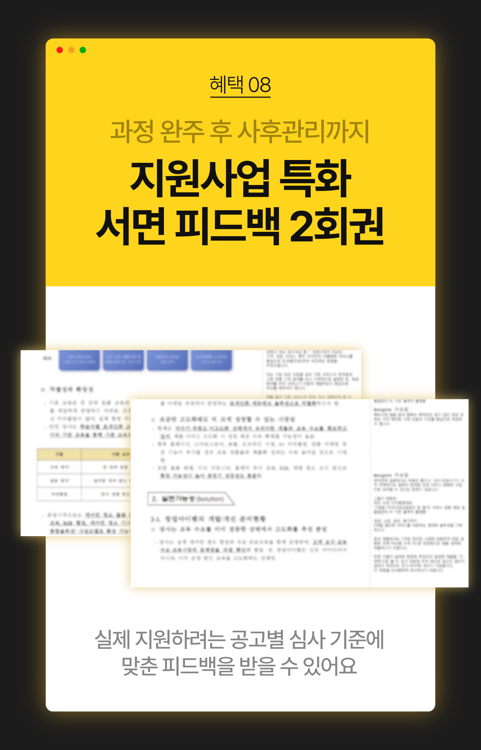 [Pro] 정부지원 1억 확보를 위한 1:1 맞춤형 사업계획서 컨설팅