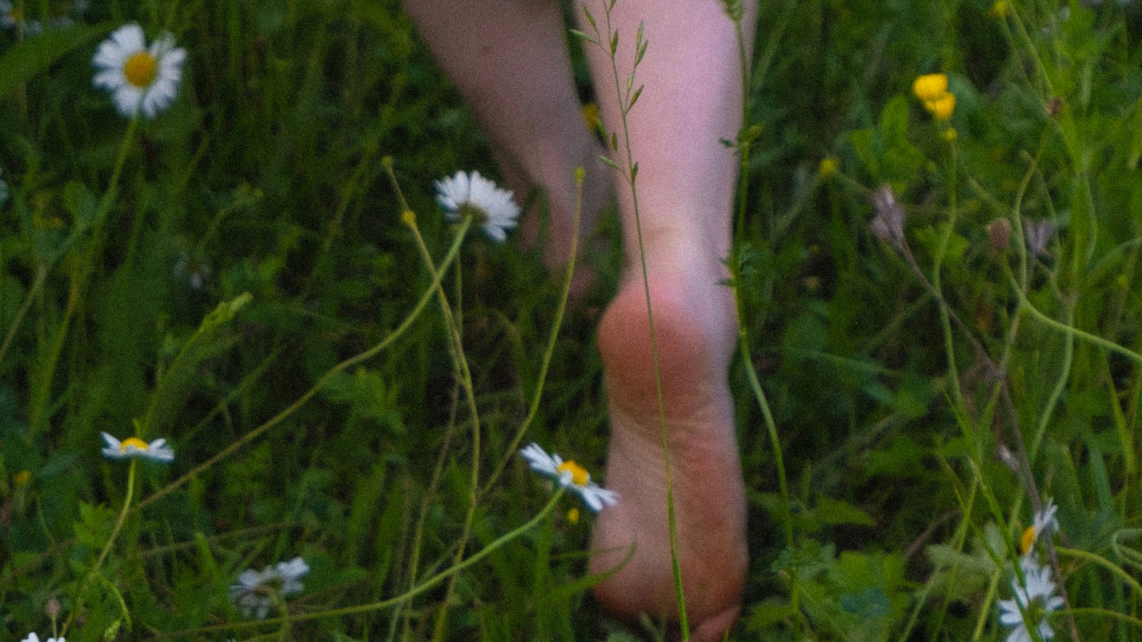 slowlife 6.png