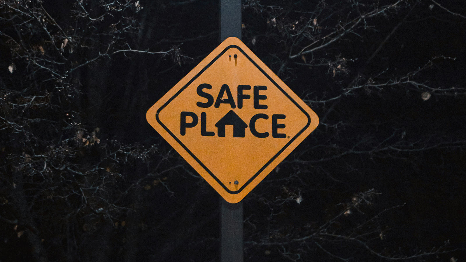 SAFE.png