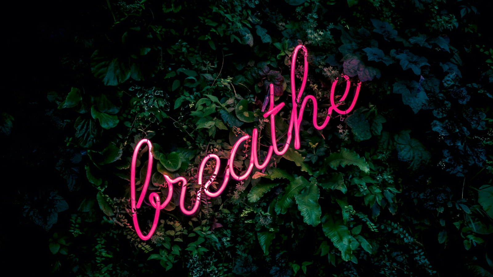breath 3.png