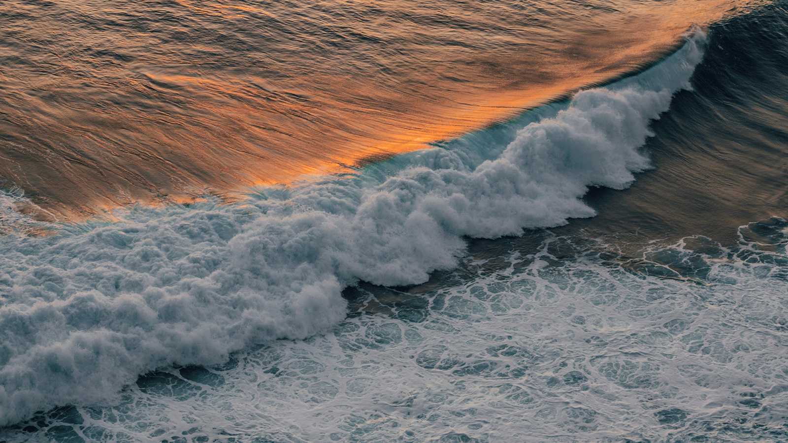 WAVE.png