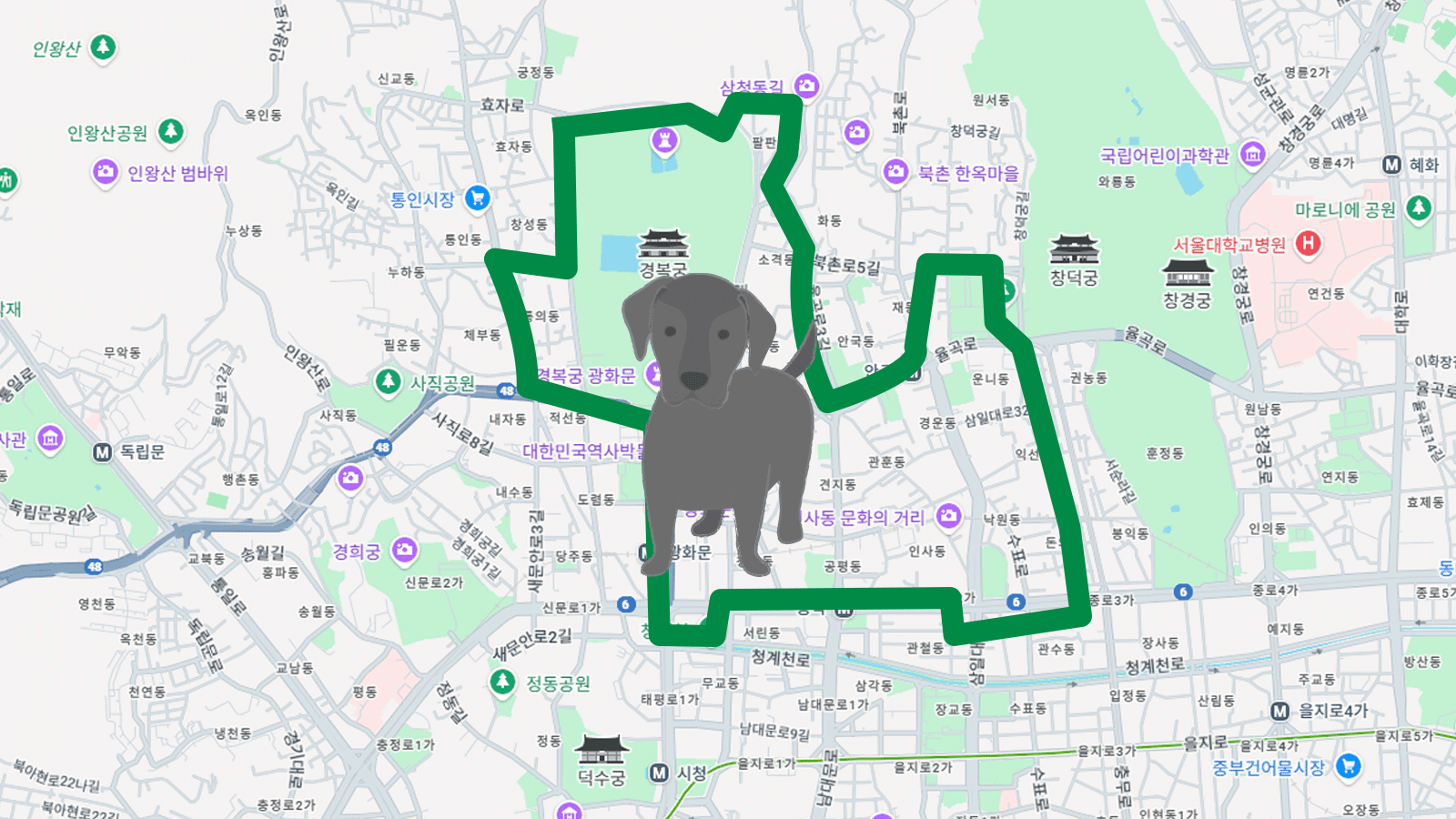 강아지런.png