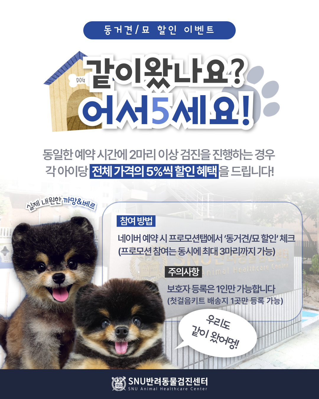 0616_동거견묘-할인이벤트_복사본-_2_-001 (3).png