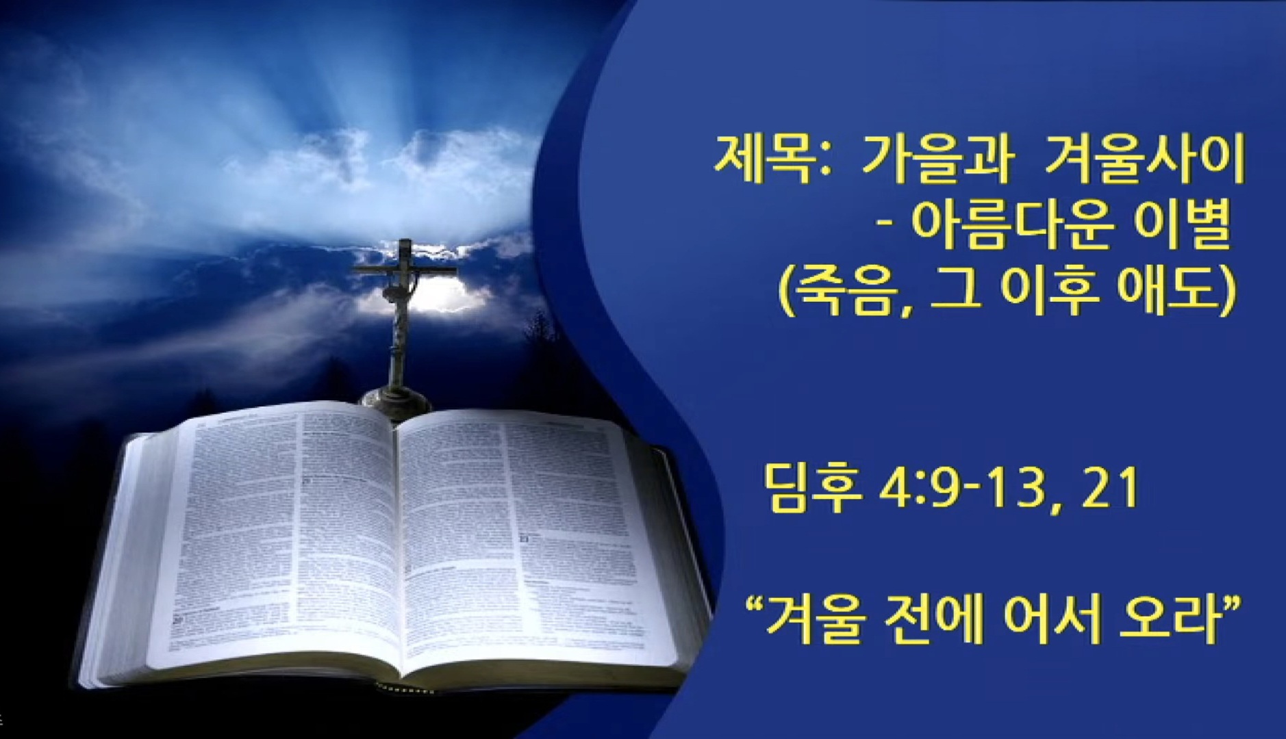 4a5faac85c062.jpg