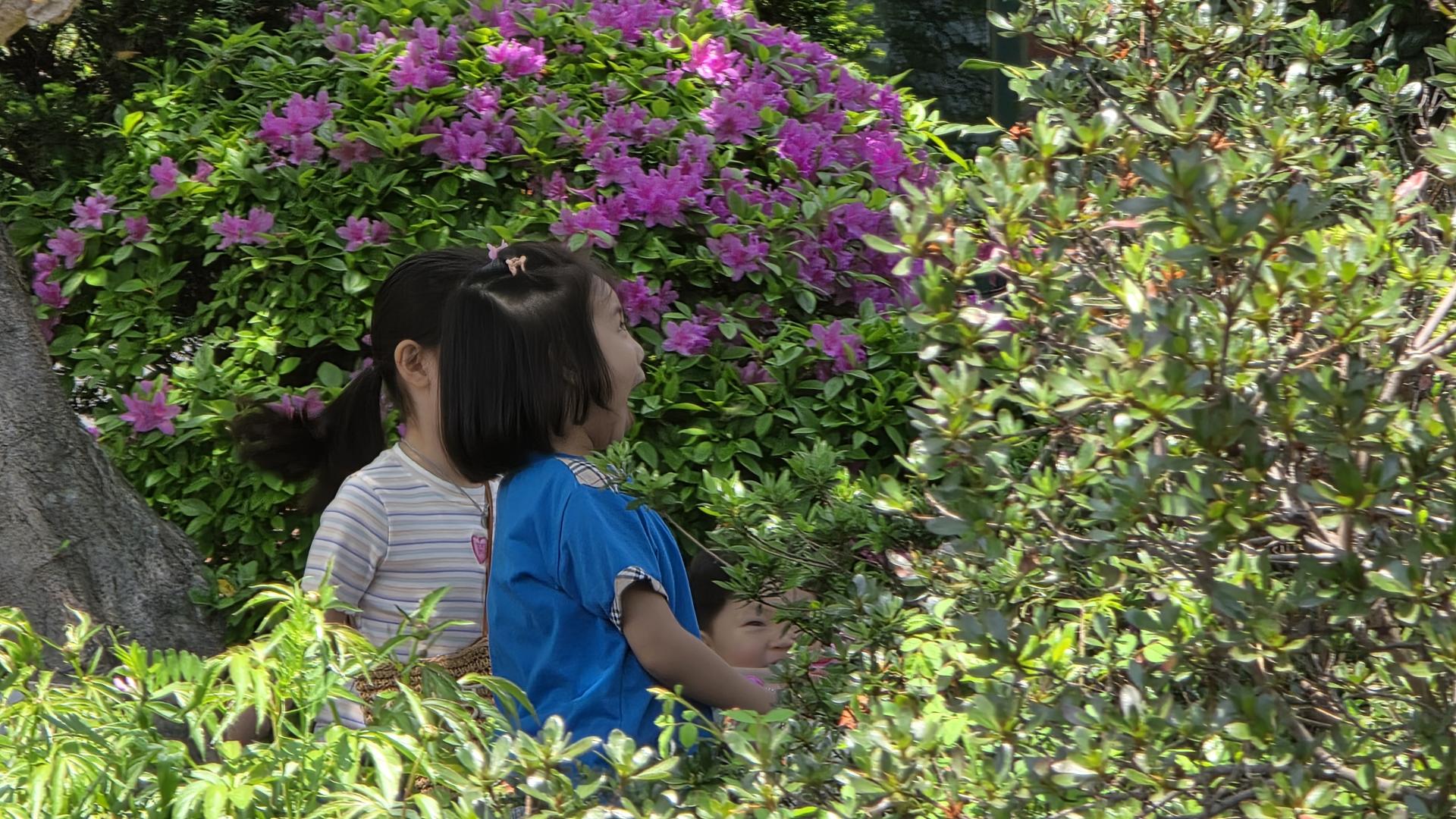 5633bd816457a.jpg