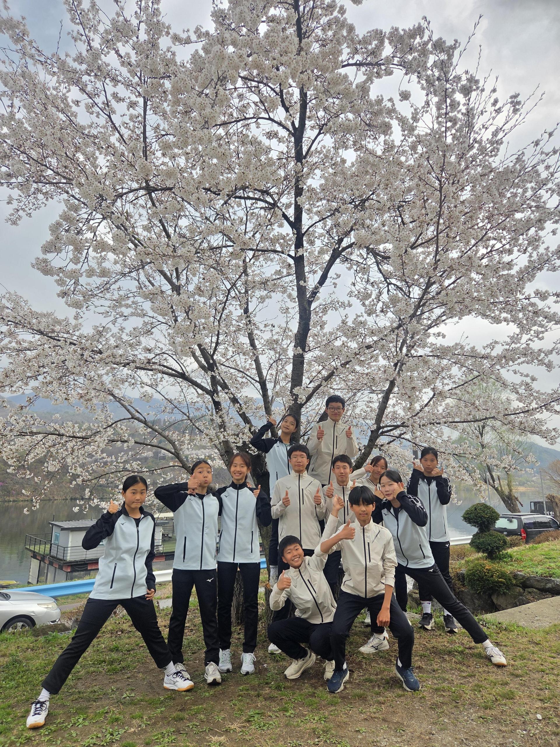 8c2fe18cc943d.jpg