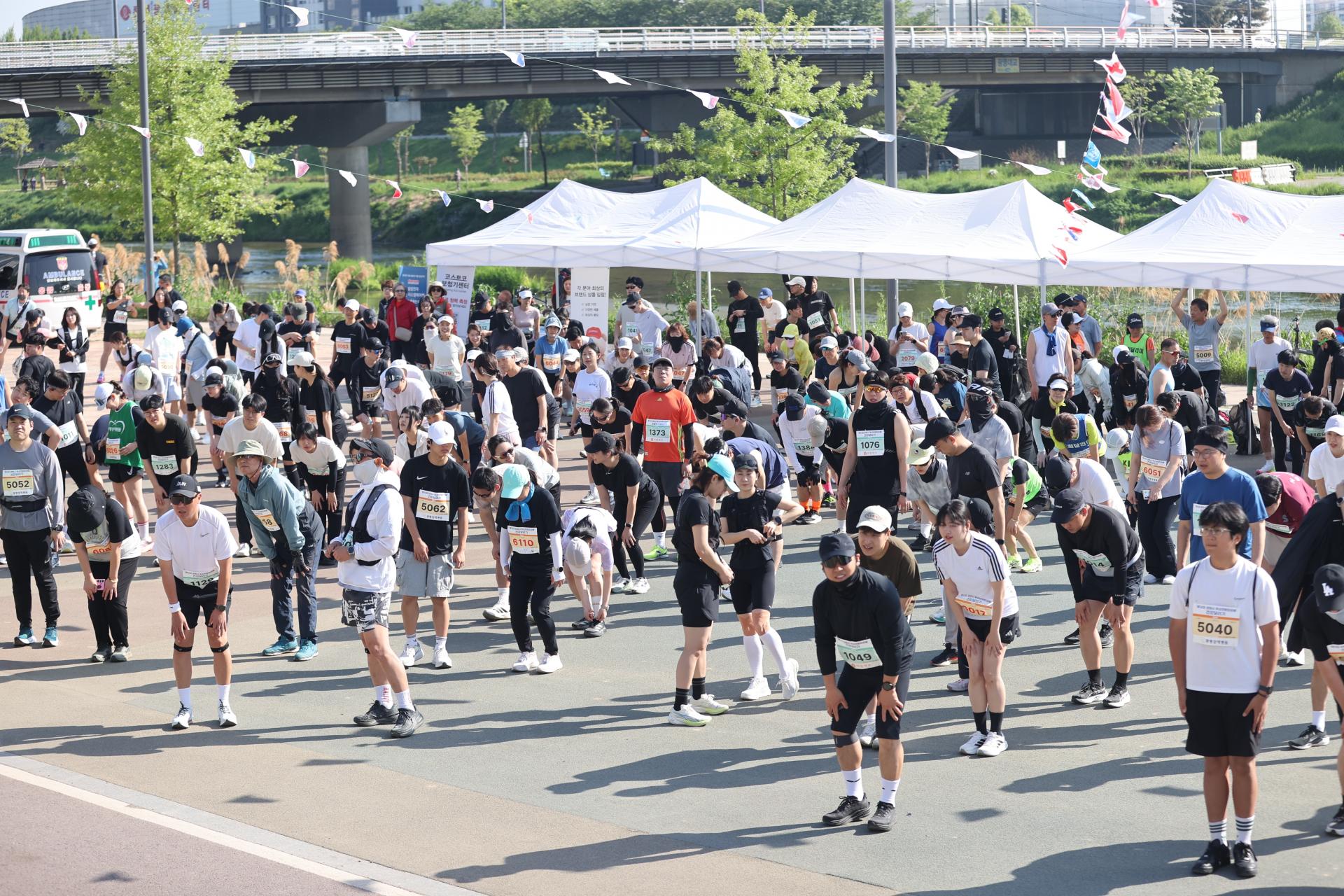 b8735dc5479a5.jpg